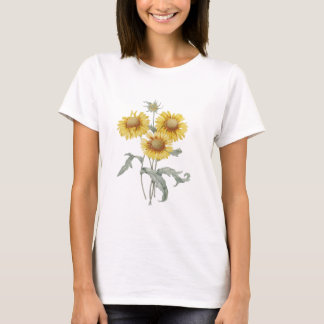 Camiseta Arte botânica vintage de girassóis. P.J. Redoute.