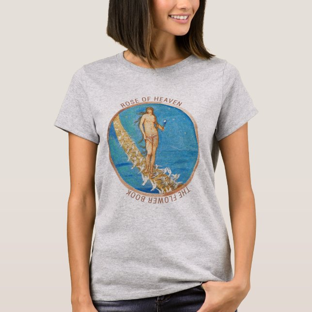 Camiseta Arte Clássica Remasterizada Celestial Vintage (Frente)