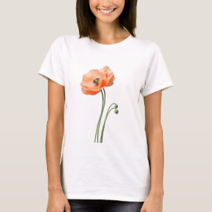Camiseta arte de borboleta, liberdade frágil, obra emociona