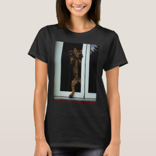 Camiseta arte de gato maluco meme de gatinho