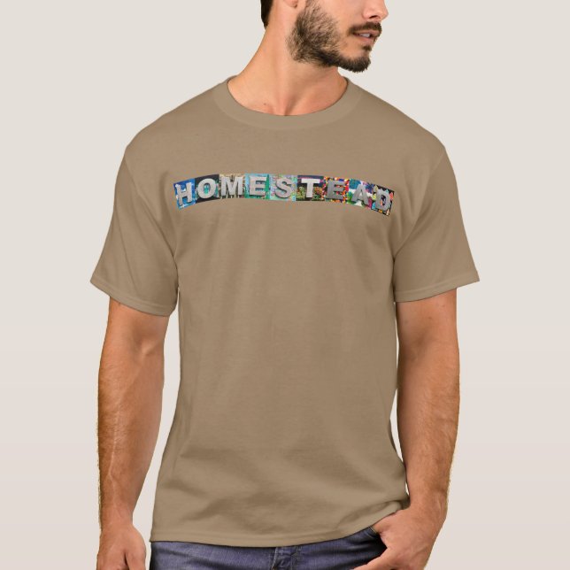 Camiseta Arte de Pop de Homestead (Frente)