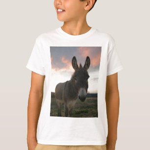 Camiseta Arte do asno