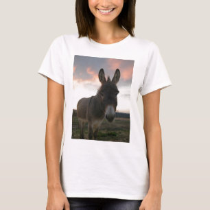 Camiseta Arte do asno