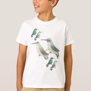 Camiseta arte em aquarela de espécies de beija-flor