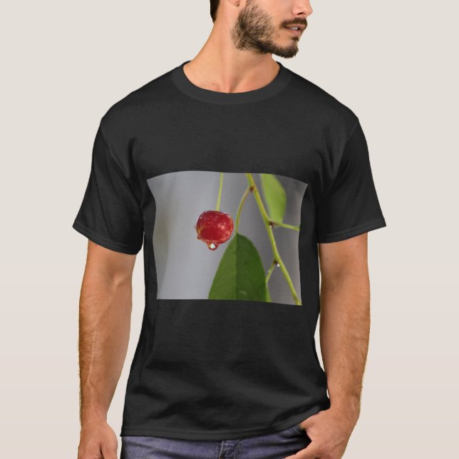 Camiseta Arte inicial de queda de fruta (Frente)