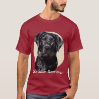 Arte Labrador