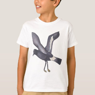 Camiseta Arte sobre aves Storm-Petrel