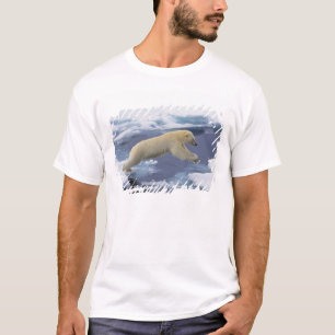 Camiseta Ártico, Svalbard, Urso Polar estendendo