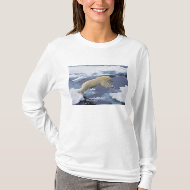 Camiseta Ártico, Svalbard, Urso Polar estendendo (Frente)