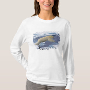 Camiseta Ártico, Svalbard, Urso Polar estendendo