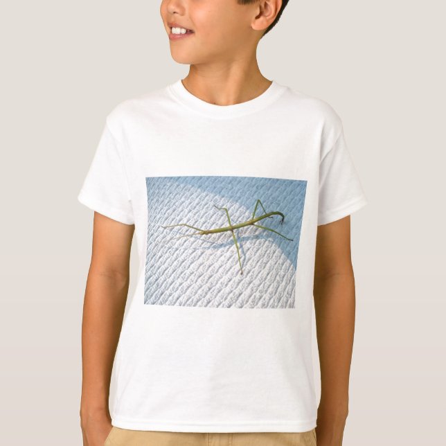 Camiseta Artigos comuns da bengala (femorata de (Frente)