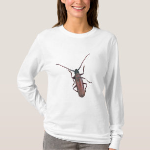 Camiseta Artigos de coordenação do besouro de Longhorn