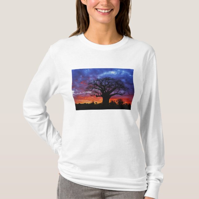 Camiseta Árvore baobá africana, Adansonia digitata, 2 (Frente)