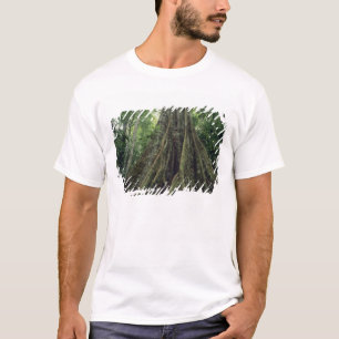 Camiseta Árvore com contrafortes na floresta tropical, Corc