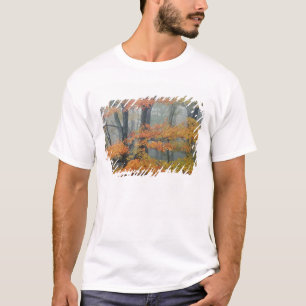 Camiseta Árvore de bordo vermelho, Acer rubrum, retrato na