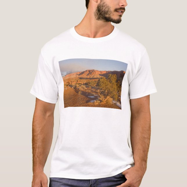 Camiseta Árvore de Utah (Juniper Juniperus osteosperma) em  (Frente)