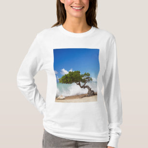 Camiseta Árvore Divi Divi, Praia Eagle, Aruba, Caribe