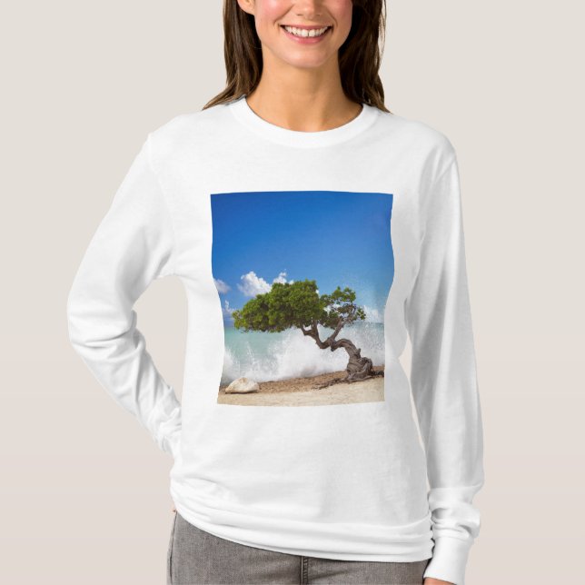 Camiseta Árvore Divi Divi, Praia Eagle, Aruba, Caribe (Frente)