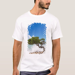 Camiseta Árvore Divi Divi, Praia Eagle, Aruba, Caribe