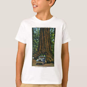 Camiseta Árvore grande Wawona, bosque de Mariposa, CA