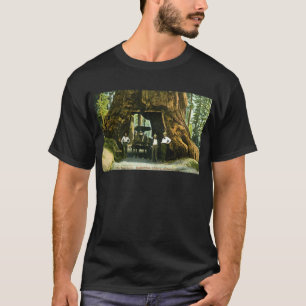 Camiseta Árvore grande Wawona, bosque de Mariposa, vintage