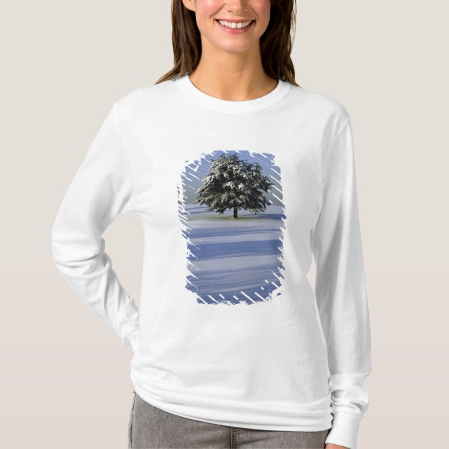 Camiseta Árvore na paisagem coberto de neve (Frente)
