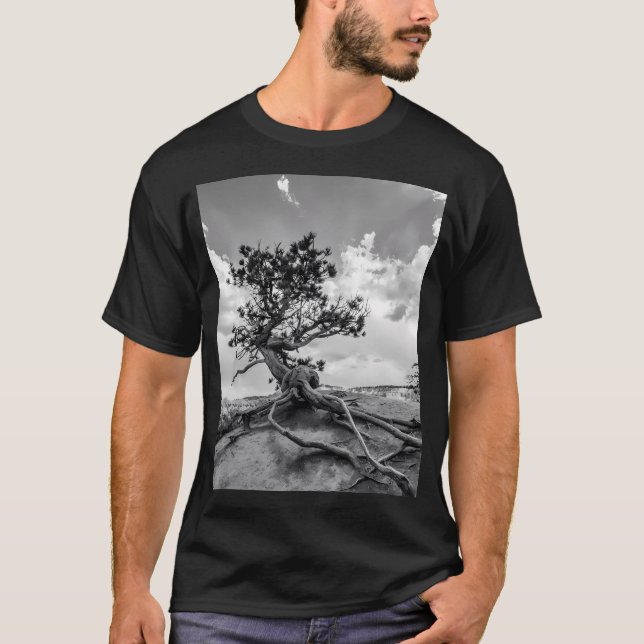 Camiseta Árvore Pinheira Interessante Na Trilha Do Jardim D (Frente)