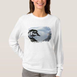 Camiseta Árvore silhuetada ao nascer do sol, Montanha Amare