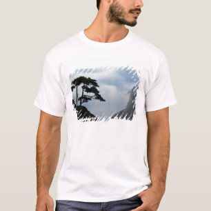 Camiseta Árvore silhuetada ao nascer do sol, Montanha Amare