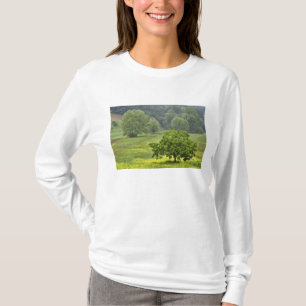 Camiseta Árvore solitária em campo agrícola, Toscana, 2