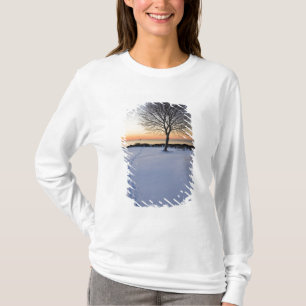 Camiseta Árvore solitária na neve fresca em New Castle Comm