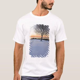 Camiseta Árvore solitária na neve fresca em New Castle Comm