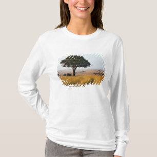 Camiseta Árvore única de acácia nas planícies gramadas, Mas