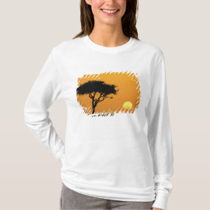 Camiseta Árvore única de Acácia silhuetada ao nascer do sol