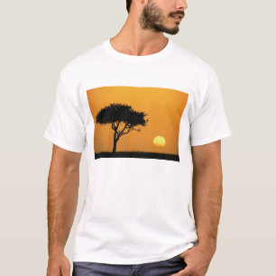Camiseta Árvore única de Acácia silhuetada ao nascer do sol