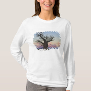 Camiseta Árvores Baobá, Berenty, Toliara, Madagascar