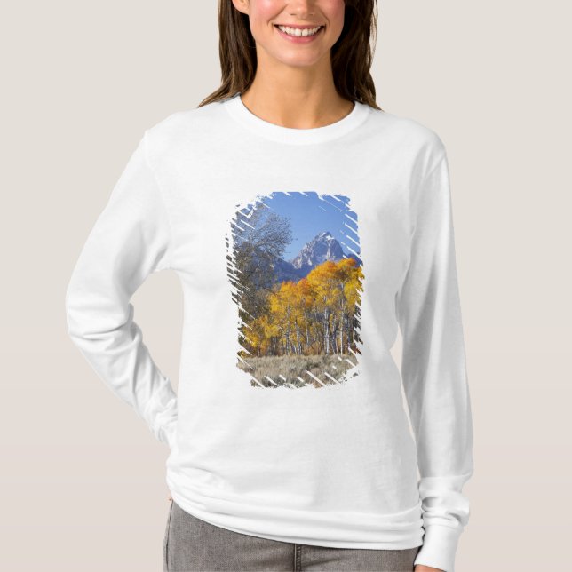 Camiseta Árvores de aspen com a serra de Teton (Frente)