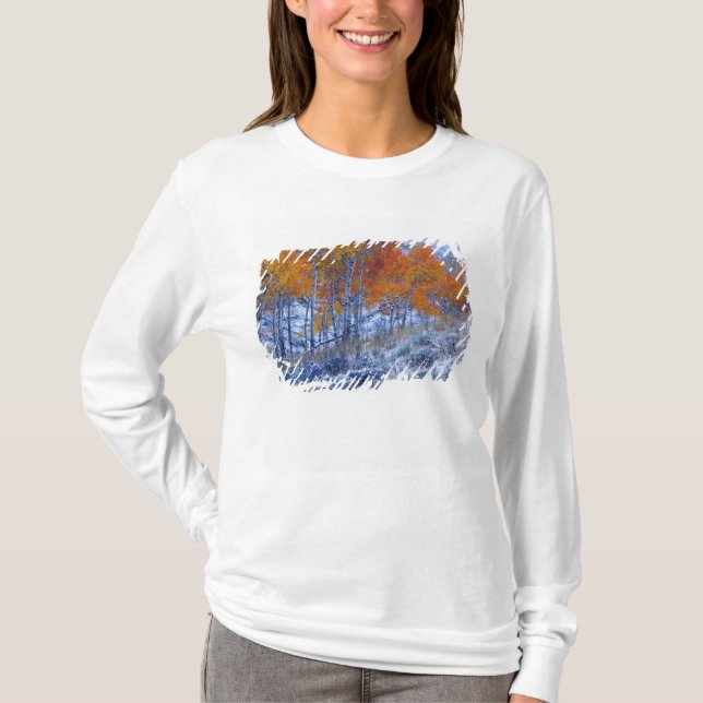 Camiseta Árvores de Aspen em cores de outono, Montanhas Big (Frente)