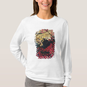 Camiseta Árvores de bordo em cores de outono