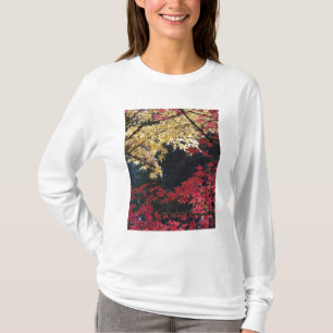 Camiseta Árvores de bordo em cores de outono