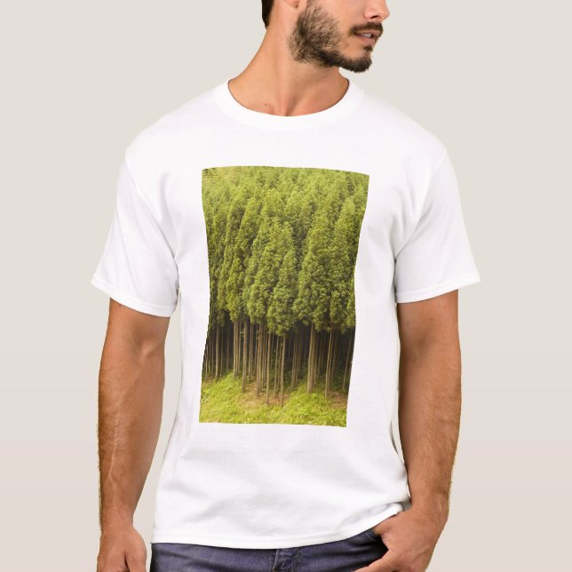 Camiseta Árvores de cedro de Koya Sugi (Frente)