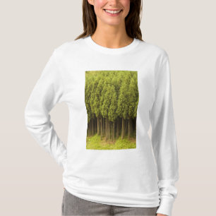 Camiseta Árvores de cedro de Koya Sugi