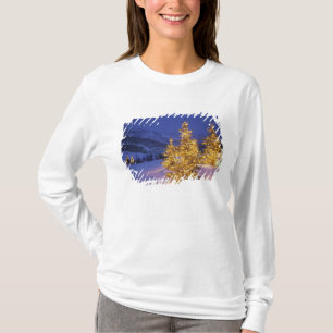 Camiseta Árvores de Natal, Park City, montanhas de Wastch,