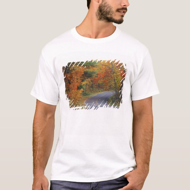 Camiseta Árvores de outono alinham a estrada no Parque Esta (Frente)