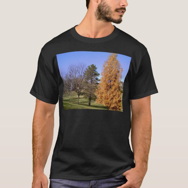 Camiseta Árvores de queda (Frente)