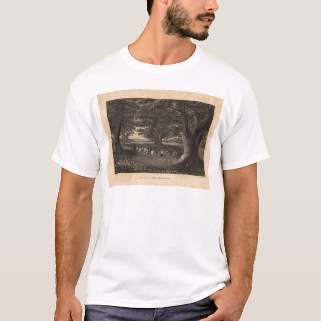 Camiseta Árvores de Tutui, Havaí (Frente)