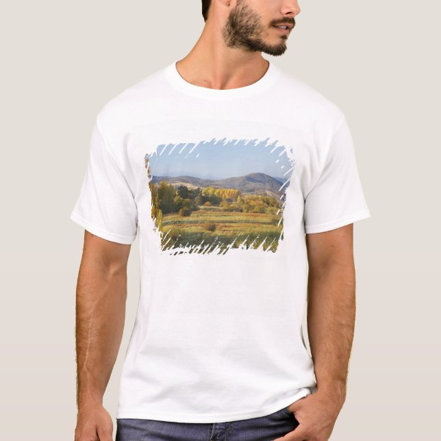 Camiseta Árvores do outono, Khancoban, Montanhas Snowy, Nov (Frente)