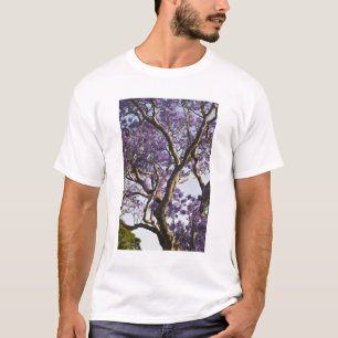 Camiseta Árvores Jacarandá Floridas no Parque New Farm,