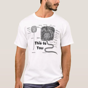 Camiseta as algas, esta são você