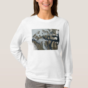 Camiseta As ilhas da rainha Elizabeth